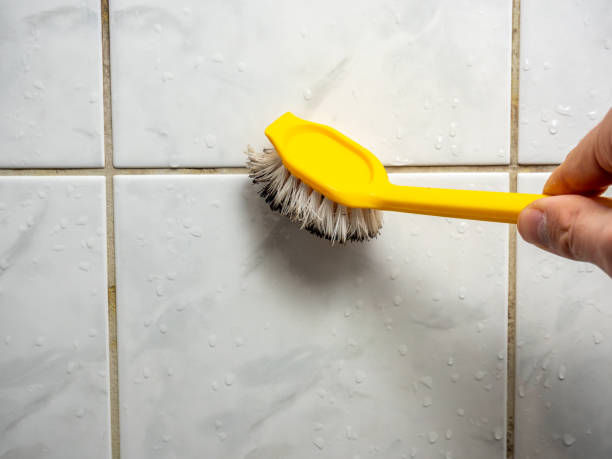 Best Mold Testing and Removal  in Barstow, CA