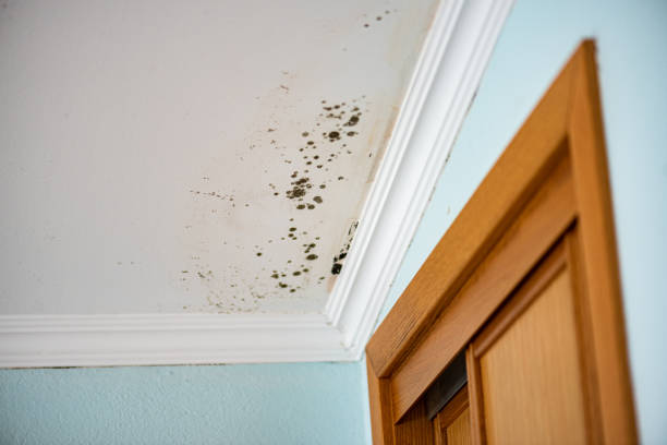 Water Damage Restoration in Barstow, CA
