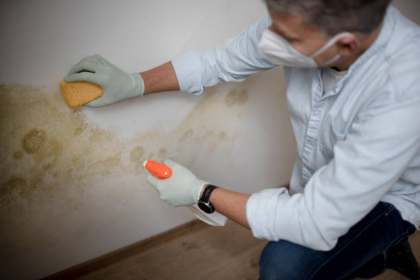 Best Crawl Space Mold Removal  in Barstow, CA