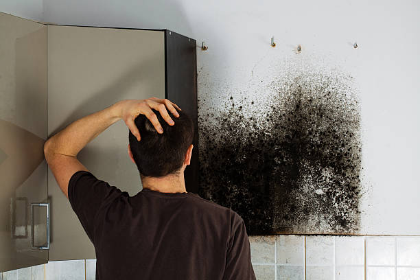 Best Mold Testing  in Barstow, CA